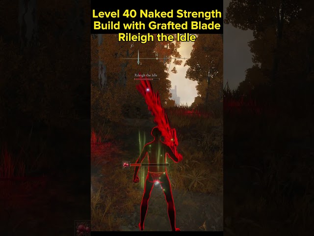 Rileigh the Idle was Pretty Easy IMO, Naked Level 40 Nearly Pure Strength Grafted Blade Greatsword