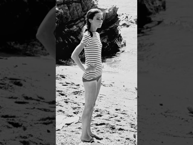Audrey Hepburn bold casuals /Charming Audrey #actress #hollywood #viral #movie #shorts #short