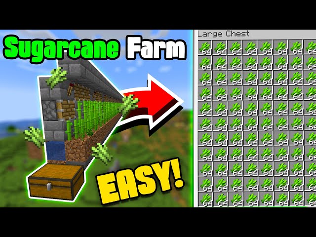 How to Build EASY Automatic Sugar Cane Farm Minecraft 1.21+ | Java & Bedrock Edition