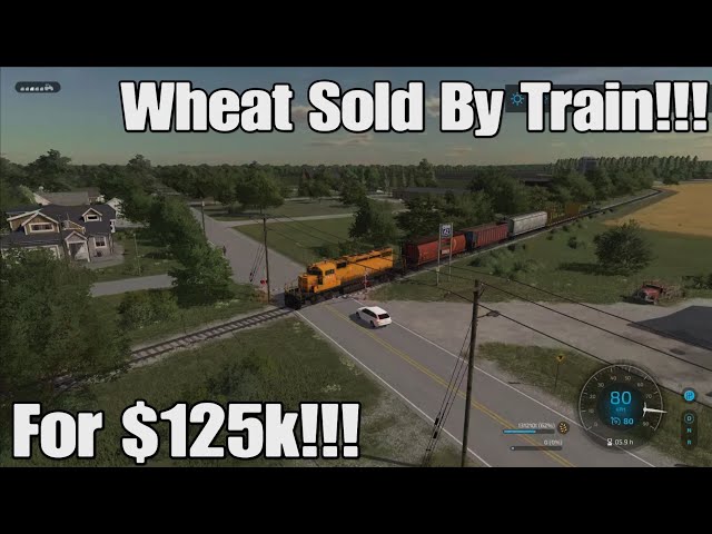 Wymark, Canada: Solo: Episode #2. Wheat Harvested & Sold By Train For $125k + More!!! FS22 PS5.