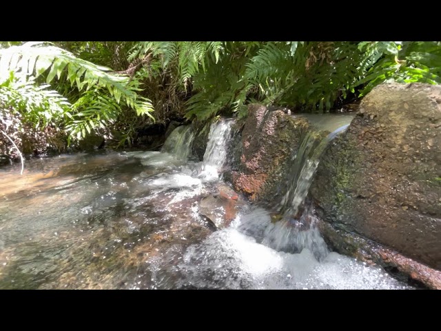 Real waterfall with relaxing sound.