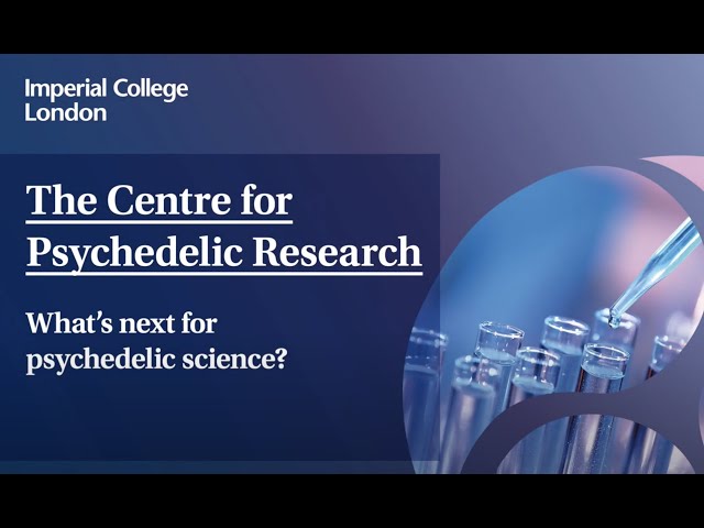 The Centre for Psychedelic Research: What’s next for psychedelic science?