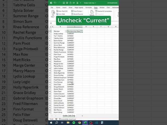 How to Select and Remove VISIBLE CELLS ONLY in 40 seconds‼️ #excel