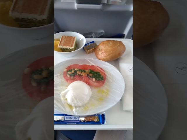 Lufthansa business class lunch on the plane during Covid