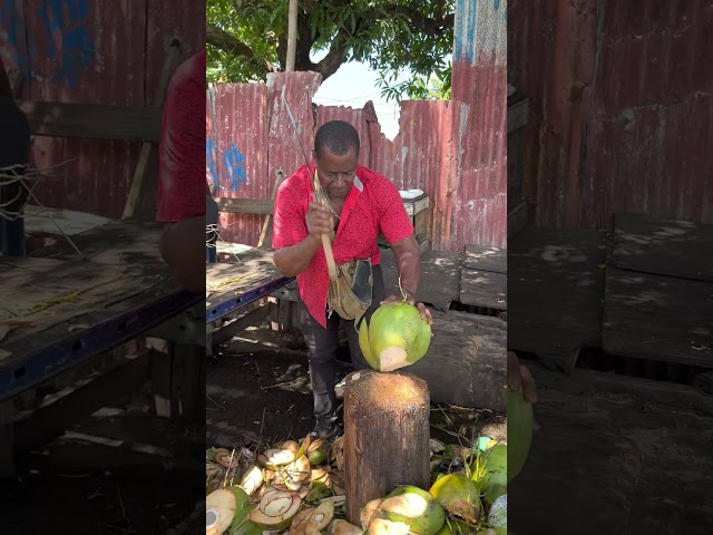 🇩🇲 One Chop Coconut Man in Roseau Dominica #shorts