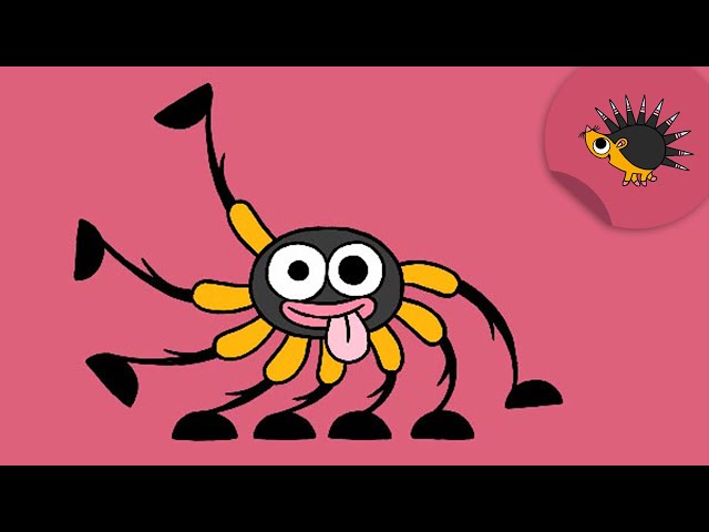Spinne | Ich kenne ein Tier | SWR Kindernetz