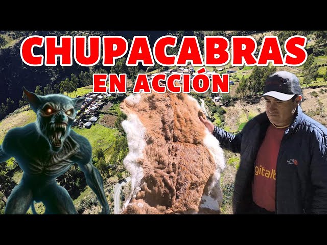 CHUPACABRAS EN ACCIÓN  - HISTORIAS REALES - CHAUCHURA - PARAS - AYACUCHO
