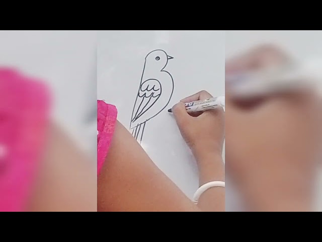 Easy drawing Bird step by step