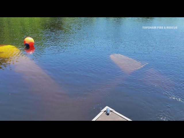 FAA investigating small plane crash into Androscoggin River