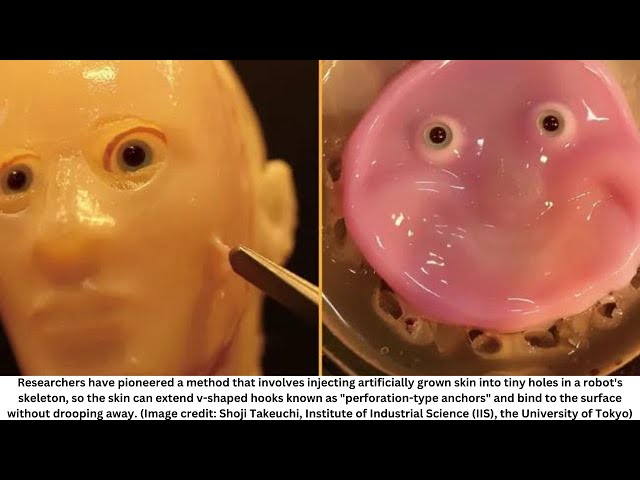 Self-healing 'living skin' can make robots more humanlike & it looks just as creepy as you'd expect