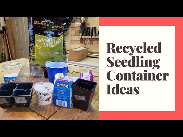 Use These Recycled Seed Starting Container Ideas