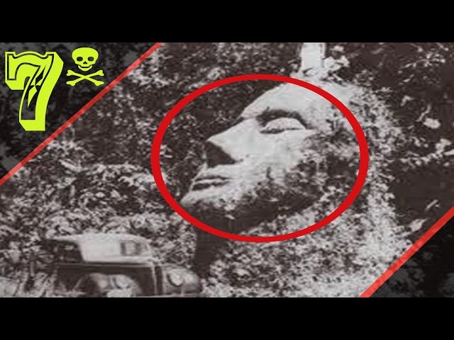 7 Mysterious Artifacts That Are Allegedly Alien