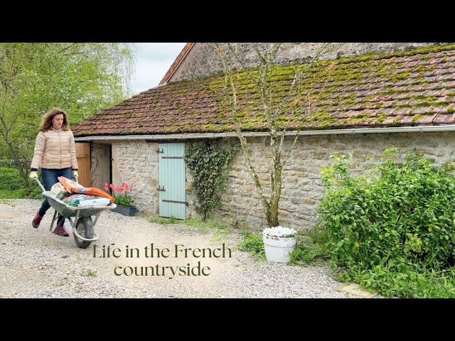 A week in my slow life in the French countryside