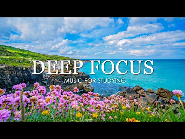 Deep Focus Music To Improve Concentration - 12 Hours of Ambient Study Music to Concentrate #29