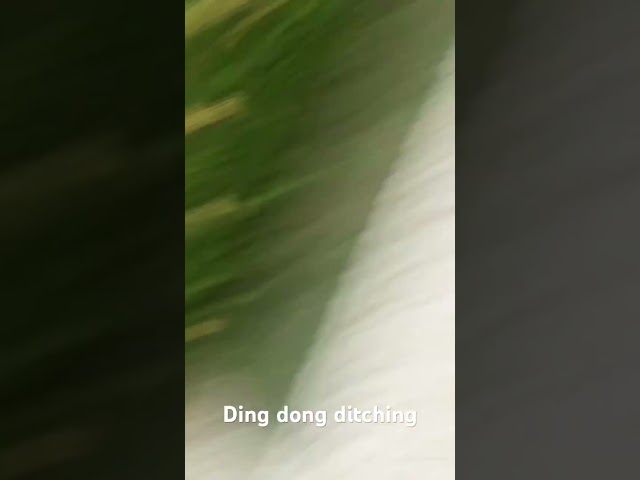 Ding dong ditch #ringdingdong #viral