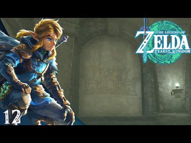 Zelda Tears of the Kingdom w/ ShadyPenguinn [12]