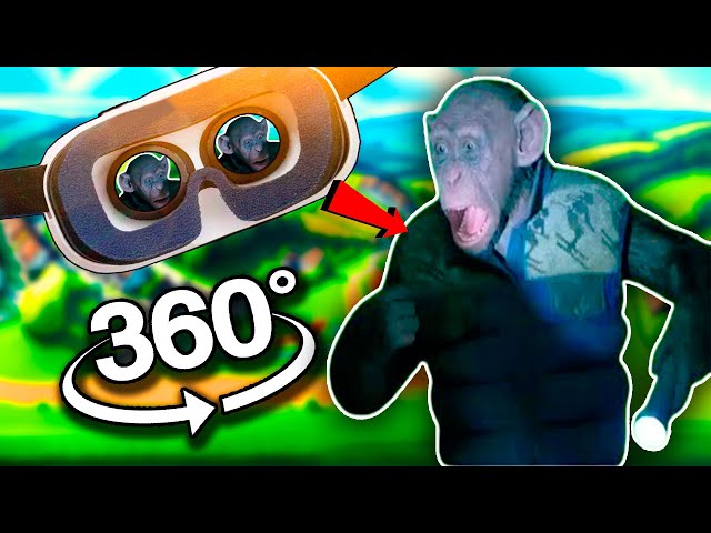 360° VR Find Hidden Monkey saying "OH NO! Oh no monkey memes