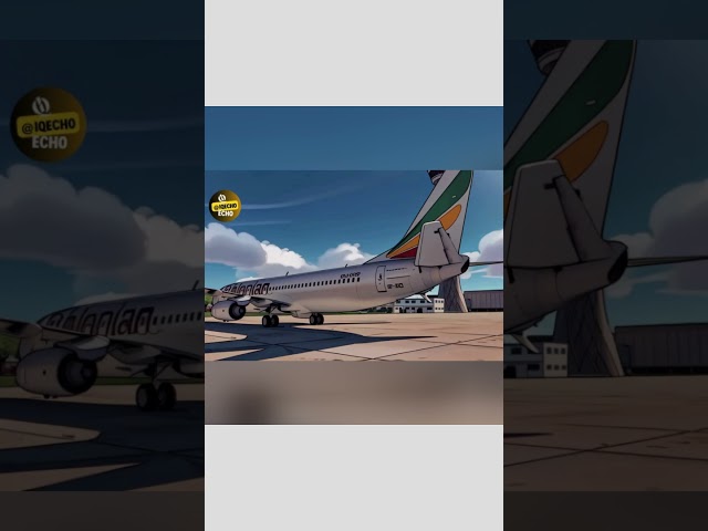 The Story of Ethiopian Airlines Flight 302 😞 (sad) #short