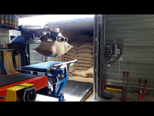 Unloading coffee bags from a container plus palletizing