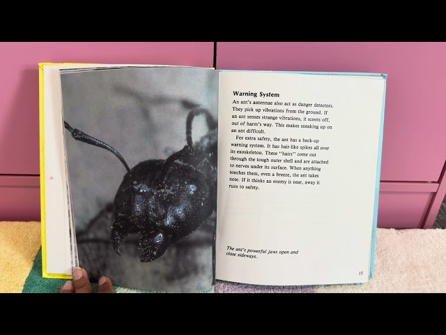 Reading Book 📖 Nature’s Children || #reading #books #kidsvideo #kidslearning #kids || Kavyaini