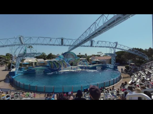 VR180 - SeaWorld San Diego Zoo Days: BBQ & Brews - Dolphin Show - Saturday 19th 2020