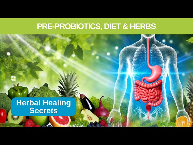 Pre & Probiotics Herbs and Food Explained - Secrets Of Herbal Healing - Episode 23 -