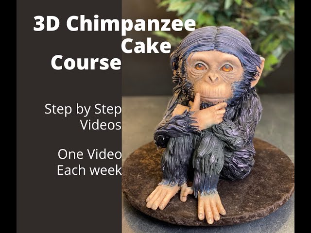 3D CHIMPANZEE CAKE TUTORIAL - PART 4/10 (Covering the Cake & Making Eyes) | FULL 3D CAKE TUTORIAL