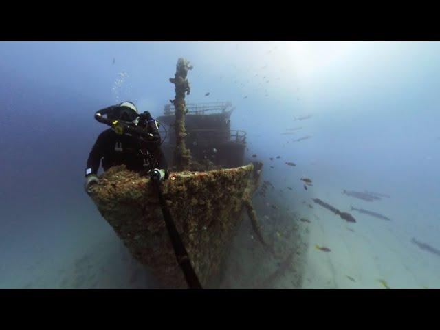 Ana Cecilia Wreck Dive 4k 360