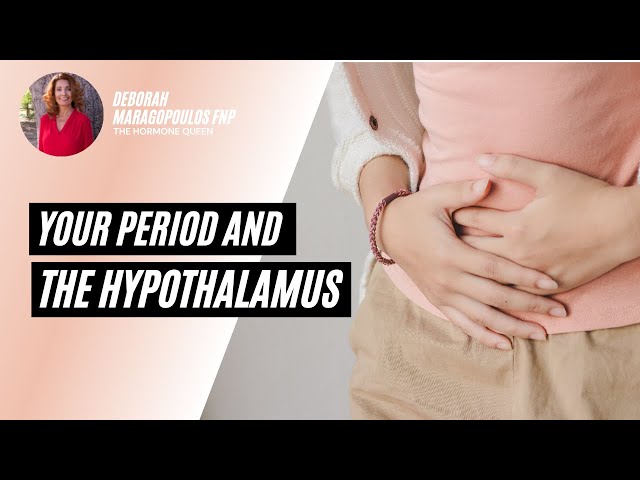 Your Period and The Hypothalamus