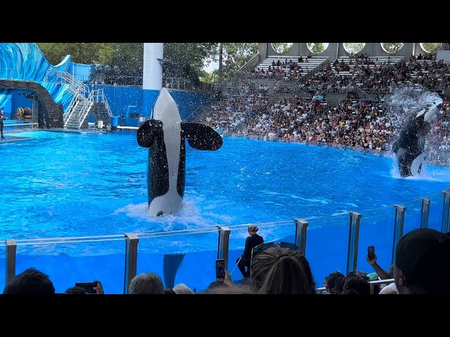 Orca Encounter (Full Show in 4K) | SeaWorld Orlando | April 22, 2023