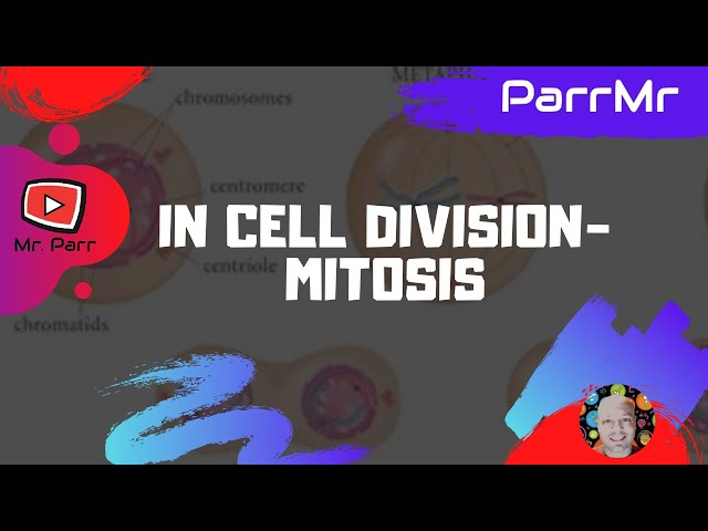 In Cell Division-Mitosis Song
