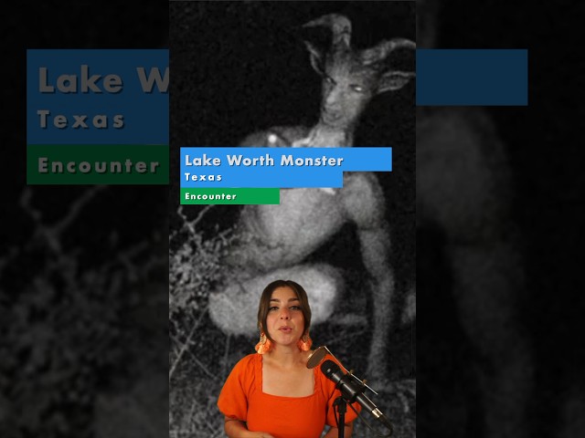 Lake Worth Monster 😈FULL Ep out NOW! #lakeworthmonster #cryptids #creepyhistory #cryptozoology