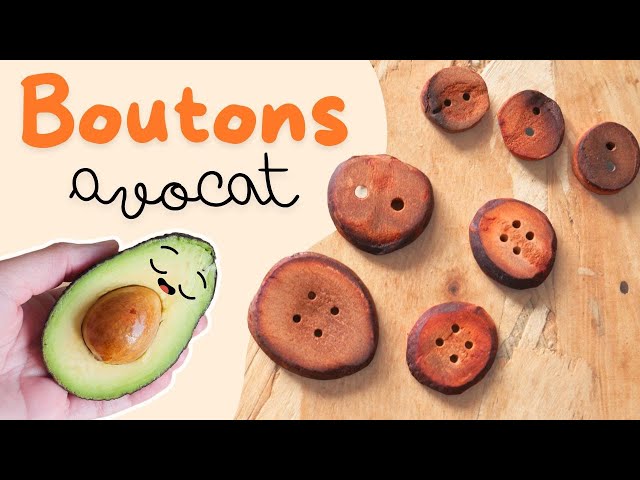 Making buttons from an avocado pit