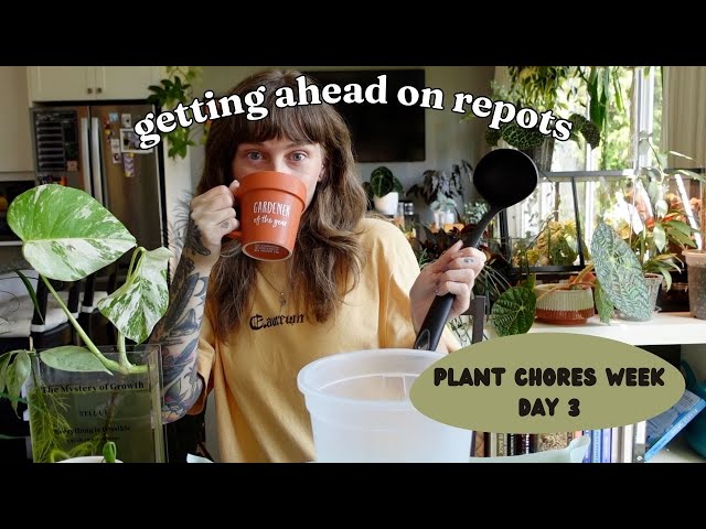 🪴 potting up my new plants (into pon & clear self-watering pots 👀)