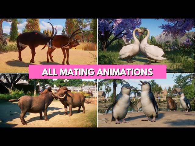 ❤️ ALL MATING RITUAL ANIMATIONS: Planet Zoo ❤️