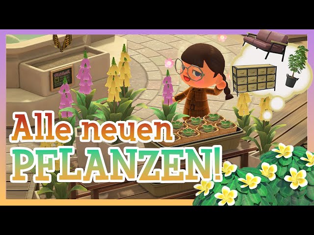 Diese PFLANZEN sind NEU und welche wir NICHT bekommen! 2.0 Update Animal Crossing New Horizons