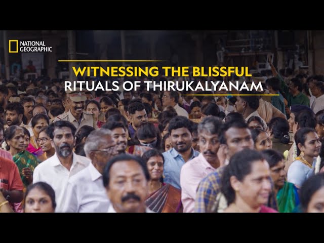Witnessing the Blissful Rituals of Thirukalyanam | India's Mega Festivals | National Geographic