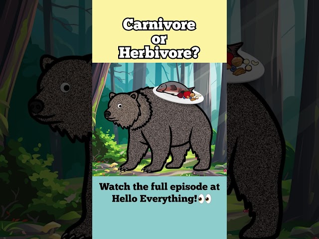 Is Grizzly Bear Carnivore or Herbivore? | Learn what Wild Animals Eat #art #animals #animation