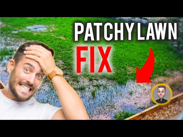 How to fix a Patchy & Thin new Lawn