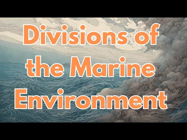 Divisions of the Marine Environment