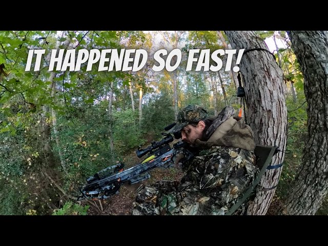 SC Buck Down with Crossbow - happened so fast!  Self-filmed
