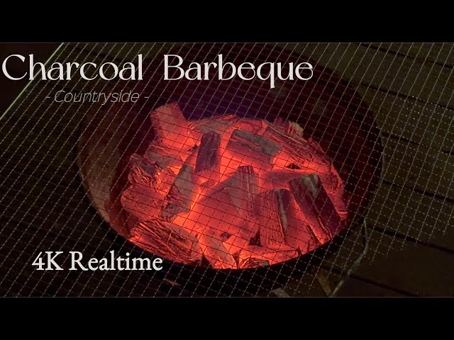 (4K) Realtime ASMR Relaxing Korean Charcoal Barbecue