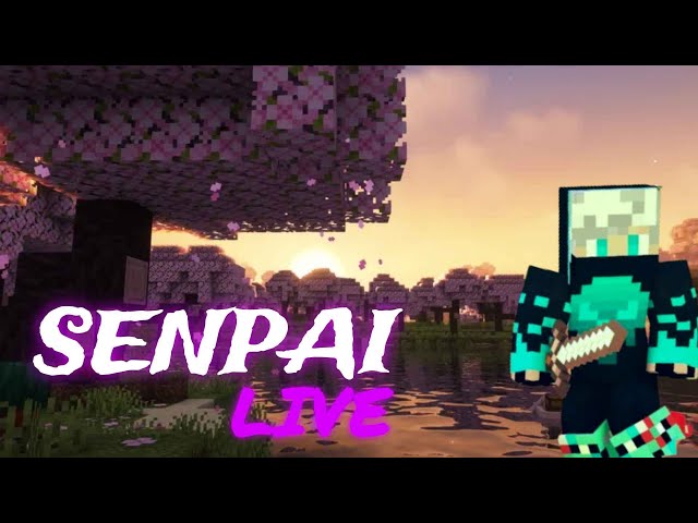 PLAYING WITH SUBSCRIBER|🔴24/7 Minecraft PUBLIC SMP LIVE |Free For All Java Survival Server |