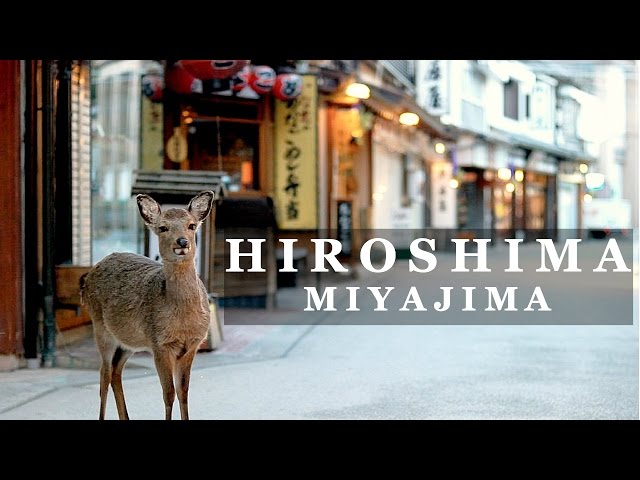 Hiroshima In A Day: Miyajima | Japan Travel Guide