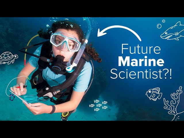 Kids SCUBA Diving? Start your Career as a Marine Scientist TODAY!