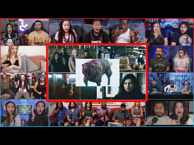 YouTubers React To The Boys Surviving V’d Up Animals | The Boys S4 Ep 5 Supe Animals Reaction Mashup