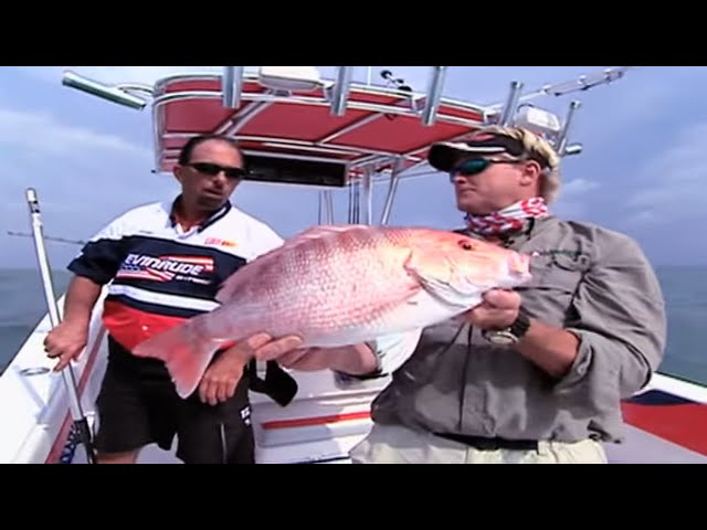 Red Snapper Fishing Texas Offshore Port Aransas