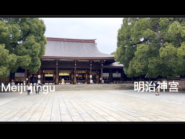 Meiji Jingu, Tokyo's biggest draw, Japan 明治神宫 日本