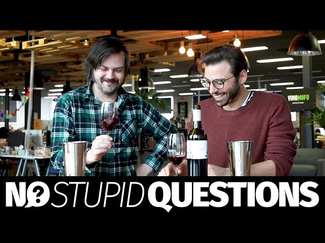 No Stupid Wine Questions: How to taste wine | Vinomofo