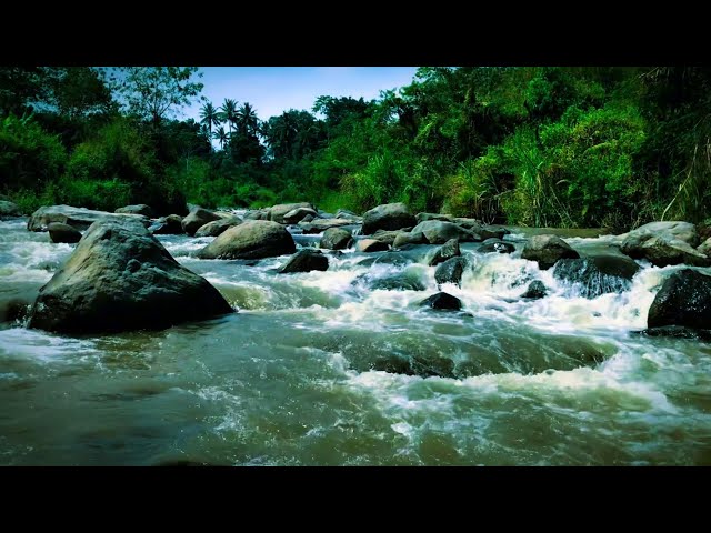 Natural River Ambiance ASMR for Stress Relief and Calm